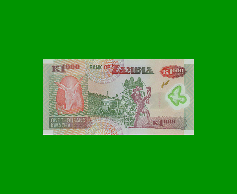 BILLETE DE ZAMBIA 1000 KWACHA, POLYMERO, PICK 44g, AÑO 2009, ESTADO SIN CIRCULAR.- - Imagen 2