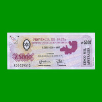 BONO DE SALTA 5.000,00 DE AUSTRALES, EC 076, AÑO 1990, ESTADO SIN CIRCULAR .-