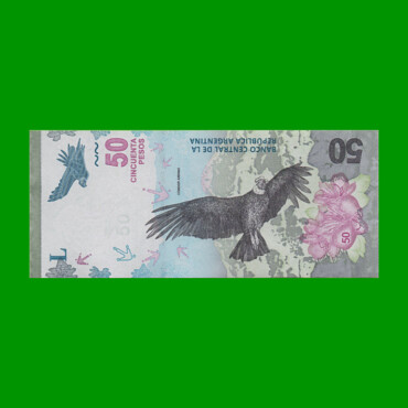 PESOS 3er DISEÑO $50,00, BOT 5205, AÑO 2019, ESTADO SIN CIRCULAR.-