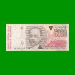 BILLETE DE AUSTRALES, 5.000 AUSTRALES, BOT 2866, AÑO 1989, ESTADO BUENO.-