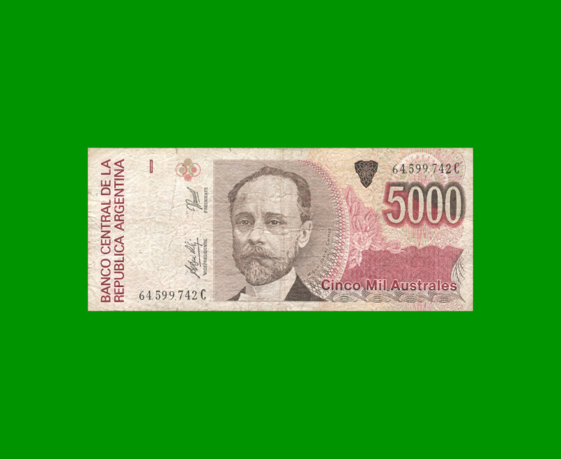 BILLETE DE AUSTRALES, 5.000 AUSTRALES, BOT 2871, AÑO 1991, ESTADO BUENO.-