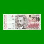 BILLETE DE AUSTRALES, 5.000 AUSTRALES, BOT 2871, AÑO 1991, ESTADO EXCELENTE+.-