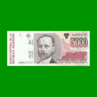 BILLETE DE AUSTRALES, 5.000 AUSTRALES, BOT 2871, AÑO 1991, ESTADO EXCELENTE.-