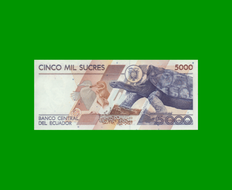 BILLETE DE ECUADOR 5000 SUCRES PICK 128c, AÑO 1999, ESTADO SIN CIRCULAR.- - Imagen 2