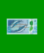 BILLETE DE ESCOCIA 5 LIBRAS, PICK 370, AÑO 2016 ESTADO SIN CIRCULAR.- - Imagen 2