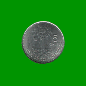 MONEDA DE GUATEMALA 5 CENTAVOS, AÑO 2010, ESTADO NUEVA.-