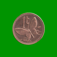 MONEDA DE PAPUA NUEVA GUINEA 1 TOEA, AÑO 2004, ESTADO NUEVA.-