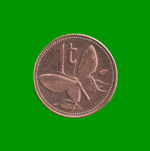 MONEDA DE PAPUA NUEVA GUINEA 1 TOEA, AÑO 2004, ESTADO NUEVA.-