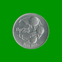MONEDA DE INDONESIA 25 RUPIAS, AÑO 1995, ESTADO NUEVA.-