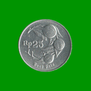 MONEDA DE INDONESIA 25 RUPIAS, AÑO 1995, ESTADO NUEVA.-