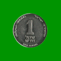 MONEDA DE ISRAEL 1 NUEVO SHEKEL, AÑO 1994/2017, ESTADO USADA.-