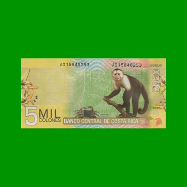 BILLETE DE COSTA RICA 5.000 COLONES, PICK 276, AÑO 2009, ESTADO SIN CIRCULAR.-