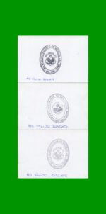 SERIE COMPLETA DE BONOS MUNICIPALIDAD DE MENDIOLAZA (3) BILLETES, AÑO VTO 2019, ESTADO SIN CIRCULAR.- - Imagen 2