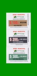 SERIE COMPLETA DE BONOS MUNICIPALIDAD DE MENDIOLAZA (3) BILLETES, AÑO VTO 2019, ESTADO SIN CIRCULAR.-