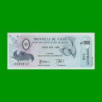 BONO DE SALTA 1.000,00 DE AUSTRALES, EC 074, AÑO 1989, ESTADO SIN CIRCULAR.-