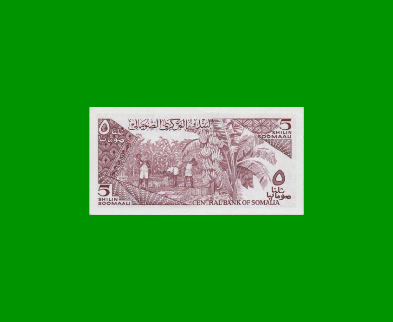 BILLETE DE SOMALIA 5 SHILLINGS, PICK 31b, AÑO 1986 ESTADO SIN CIRCULAR.- - Imagen 2