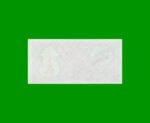 BILLETE DE TATARSTAN 100 RUBLOS, PICK 5b, ESTADO SIN CIRCULAR.- - Imagen 2