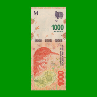 PESOS 3er DISEÑO $1.000,00, BOT 6005, AÑO 2018, SERIE C, ESTADO SIN CIRCULAR.-