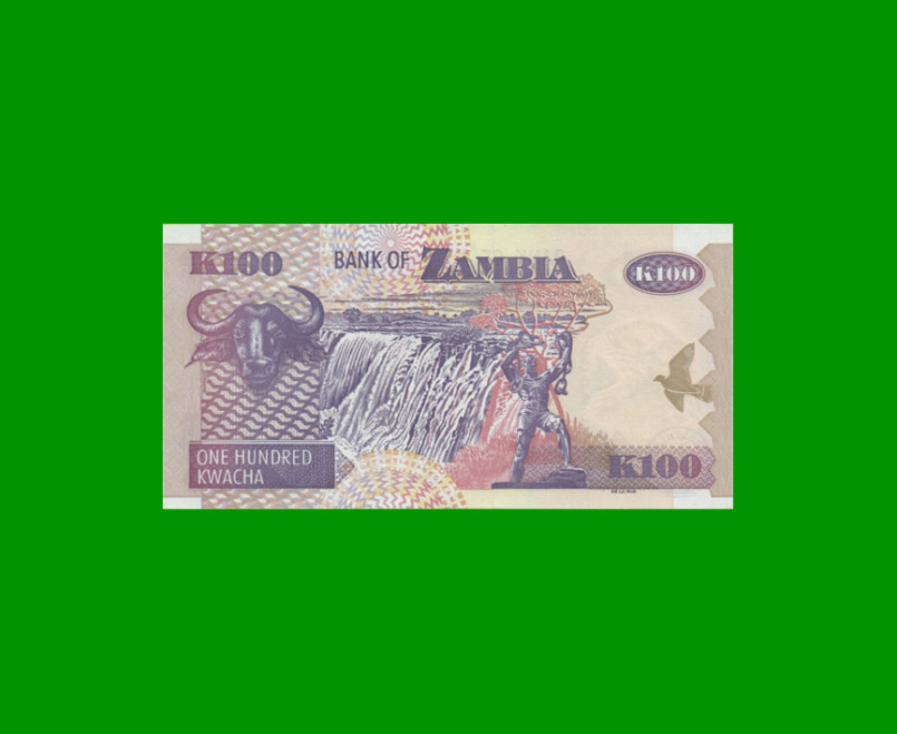 BILLETE DE ZAMBIA 100 KWACHA, PICK 38g, AÑO 2008, ESTADO SIN CIRCULAR.- - Imagen 2