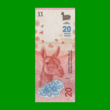 REPOSICION BILLETE CONVERTIBLE TERCER DISEÑO $ 20,00, BOT 5003, ESTADO SIN CIRCULAR.-