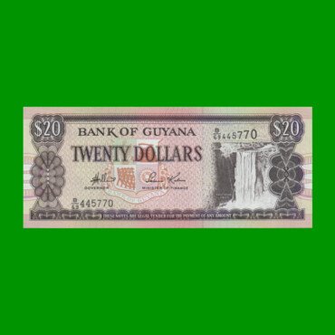 BILLETE DE GUYANA 20 DOLARES PICK 30d, ESTADO SIN CIRCULAR.-