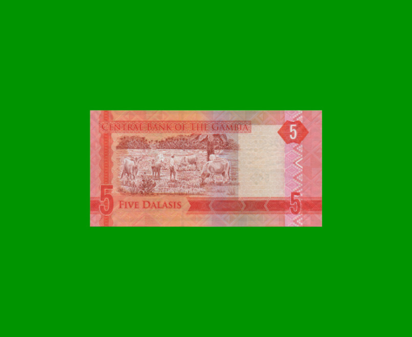 BILLETE DE GAMBIA 5 DALASIS, PICK 31, AÑO 2015 ESTADO SIN CIRCULAR.- - Imagen 2