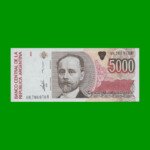 BILLETE DE AUSTRALES, 5.000 AUSTRALES, BOT 2866, AÑO 1989, ESTADO SIN CIRCULAR.-