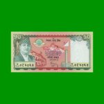 BILLETE DE NEPAL 50 RUPIAS, CONMEMORATIVO, PICK 52, AÑO 2005, ESTADO SIN CIRCULAR.-