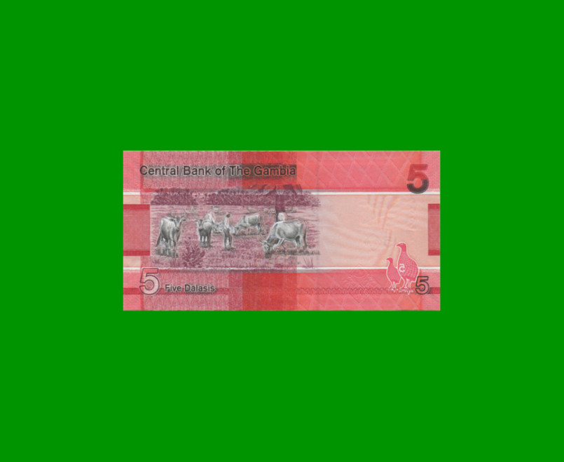 BILLETE DE GAMBIA 5 DALASIS, PICK 37, AÑO 2019 ESTADO SIN CIRCULAR.- - Imagen 2