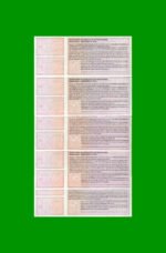 SERIE COMPLETA DE BONOS MUNICIPALIDAD DE SAN FRNACISCO (5) BILLETES, MISMO NRO DE SERIE, AÑO 2001, ESTADO SIN CIRCULAR.- - Imagen 2