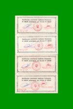 SERIE COMPLETA DE BONOS MUNICIPALIDAD DE MIRAMAR DE ANSENUZA (4) BILLETES, 1, 5, 10 Y 50 PESOS, AÑO EMISION 10/08/1995, ESTADO EXCELENTE+ .- - Imagen 2