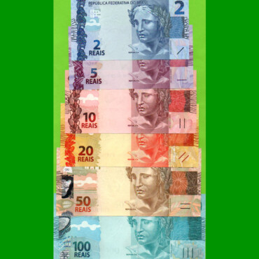 BILLETES BRASIL SERIE SEGUNDA FAMILIA, PICK VARIOS, AÑOS 2013/2019, ESTADO SIN CIRCULAR.-