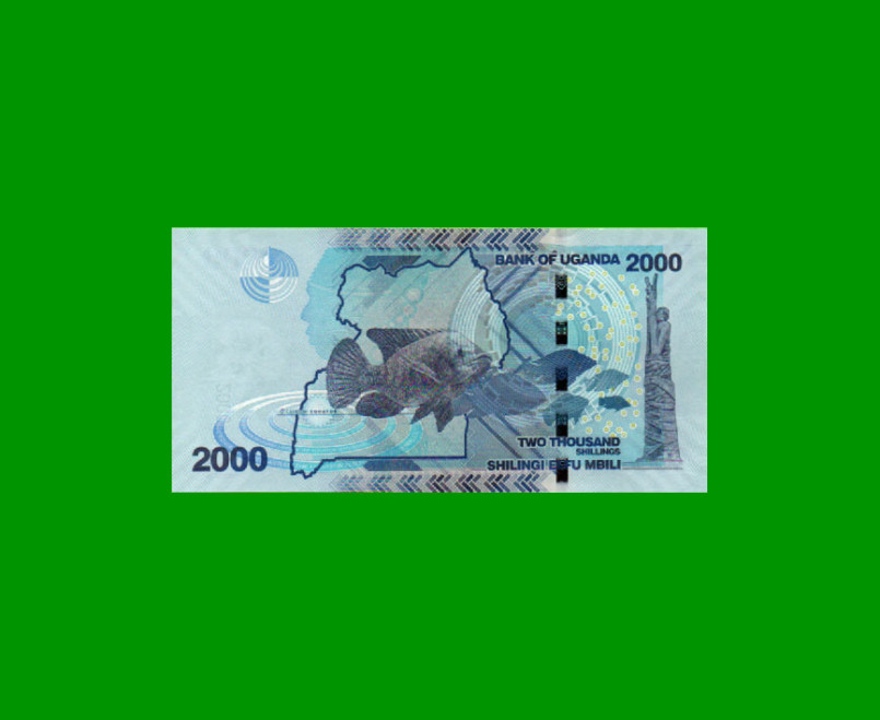 BILLETE DE UGANDA 2.000 SHILLINGS, PICK 50, AÑO 2021, ESTADO SIN CIRCULAR.- - Imagen 2