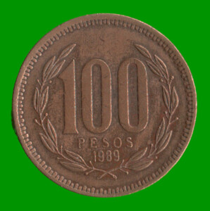 MONEDA DE CHILE 100 PESOS,  AÑO 1989, ESTADO USADA.-