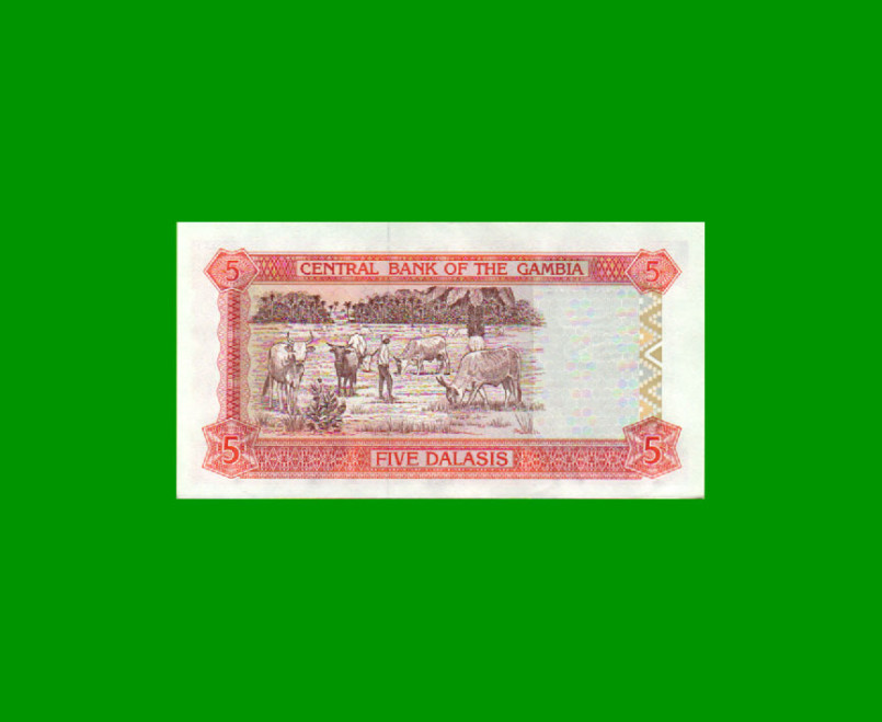 BILLETE DE GAMBIA 5 DALASIS, PICK 16, ESTADO SIN CIRCULAR.- - Imagen 2