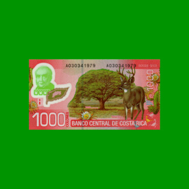 BILLETE DE COSTA RICA 1.000 COLONES, PICK 274, AÑO 2009, POLYMERO, ESTADO SIN CIRCULAR.-