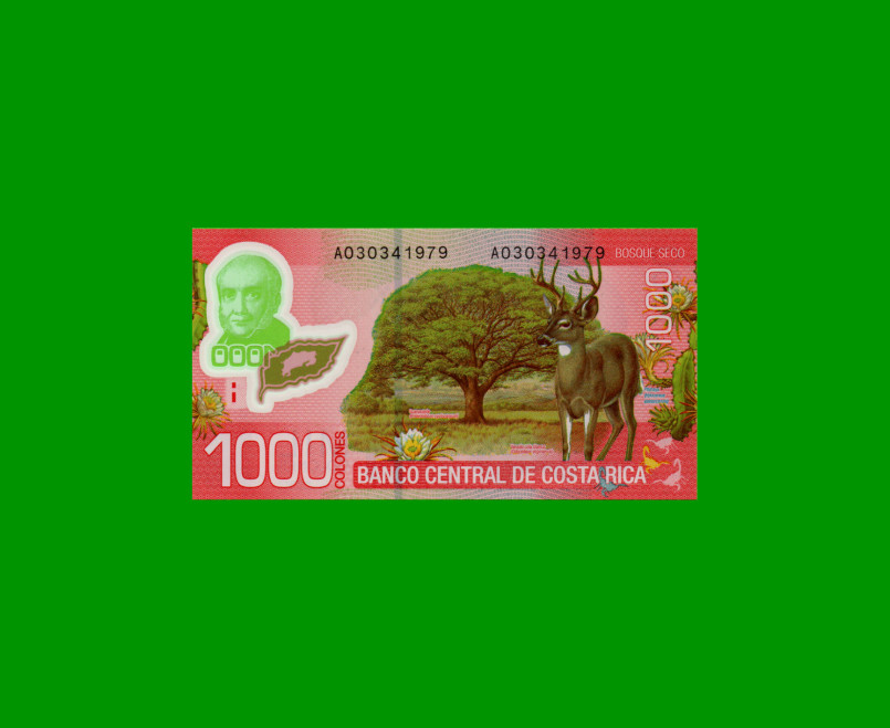 BILLETE DE COSTA RICA 1.000 COLONES, PICK 274, AÑO 2009, POLYMERO, ESTADO SIN CIRCULAR.-