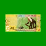 BONO TICKET RED SOLIDARIO DEL TRUEQUE NACIONAL - CREDITO ARGENTINO, 1 CREDITO, MG 513, ESTADO MUY BUENO.-