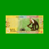 BONO TICKET RED SOLIDARIO DEL TRUEQUE NACIONAL - CREDITO ARGENTINO, 1 CREDITO, MG 513, ESTADO MUY BUENO.-