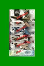 COLECCION DE BONOS APNA 2019 - TEMATICA AVIONES, SPECIMEN - MALVINAS, ESTADO S/C.-