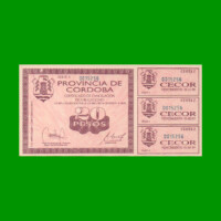 BONO DE CORDOBA $ 20,00, FALSO DE LA EPOCA, AÑO 1995, ESTADO SIN CIRCULAR.-