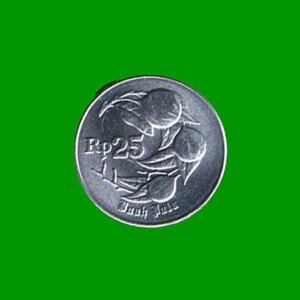 MONEDA DE INDONESIA 25 RUPIAS, AÑO 1996, ESTADO NUEVA.-