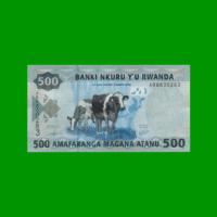 BILLETE DE RWANDA 500 FRANCOS, PICK 38, AÑO 2013, ESTADO SIN CIRCULAR.-