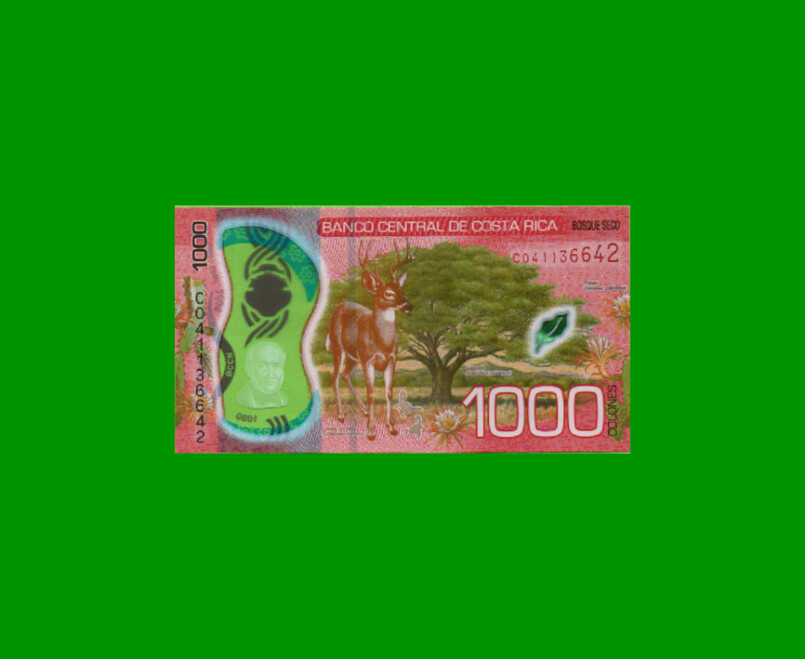 BILLETE DE COSTA RICA 1.000 COLONES, PICK NEW, AÑO 2019, POLYMERO, ESTADO SIN CIRCULAR.-