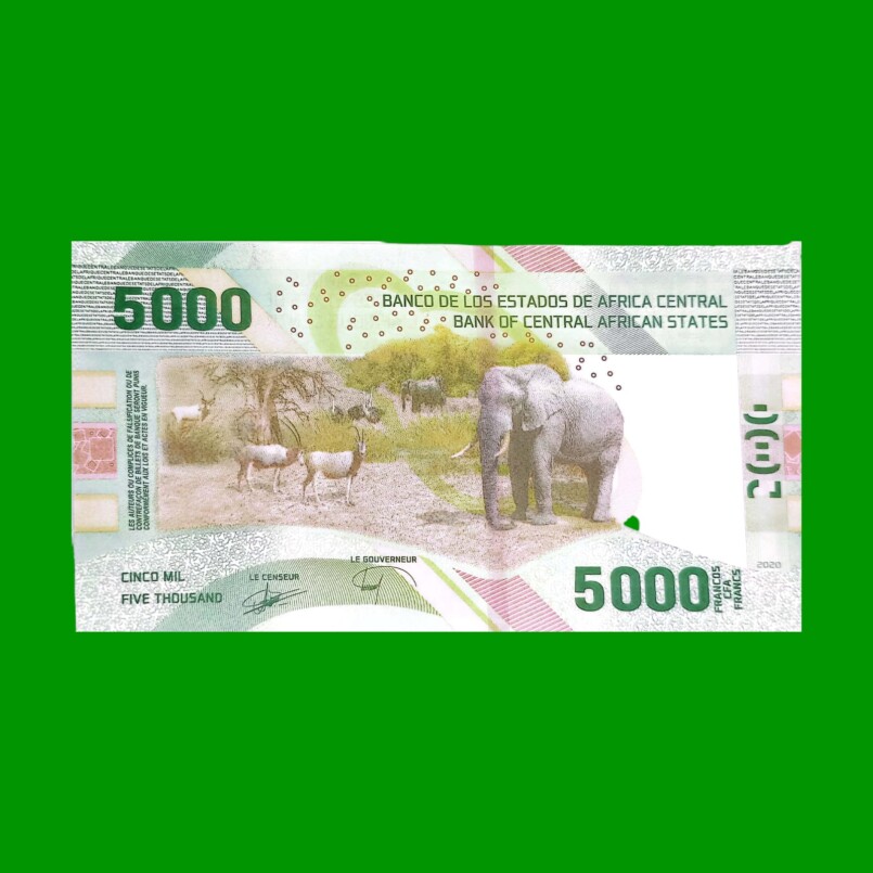 BILLETE DE AFRICA CENTRAL, 5000 FRANCOS, PICK 703, ESTADO SIN CIRCULAR.- - Imagen 2